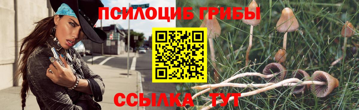 Галлюциногенные грибы Magic Shrooms  где найти   Зерноград  Галлюциногенные грибы прущие грибы  Вход с VPN 
